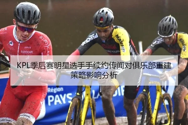 KPL季后赛明星选手手续约传闻对俱乐部重建策略影响分析